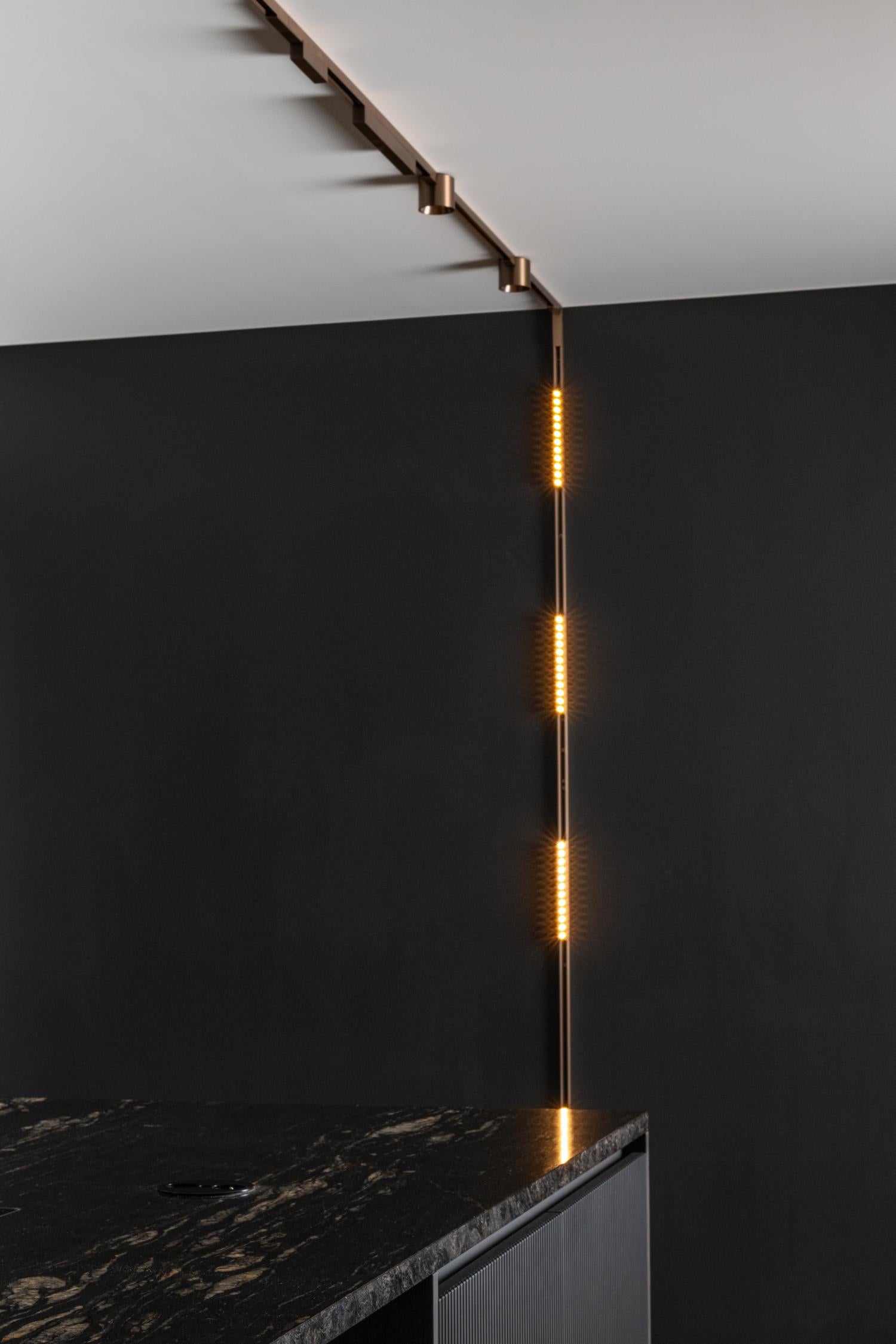 LINIAL XENIA Railspot - 1-fase Railsysteem / Smart Railverlichting - Smart - 48V Track - LED - Champagne