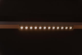 LINIAL XENIA Railspot - 1-fase Railsysteem / Smart Railverlichting - Smart - 48V Track - LED - Champagne