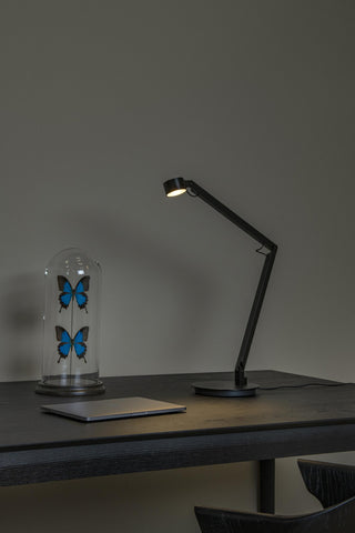 OGDEN - Desk lamp - LED 3 StepDim - 1x7W 3000K - Black