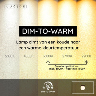 TASSA - Plafonnier Salle de bain - Ø 13,5 cm - LED Dim to warm - 1x12W 1800K/3000K - IP40 - Noir