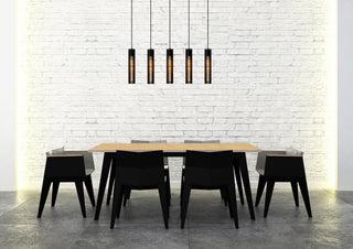 LIONEL - Hanglamp - 5xE27 - Zwart