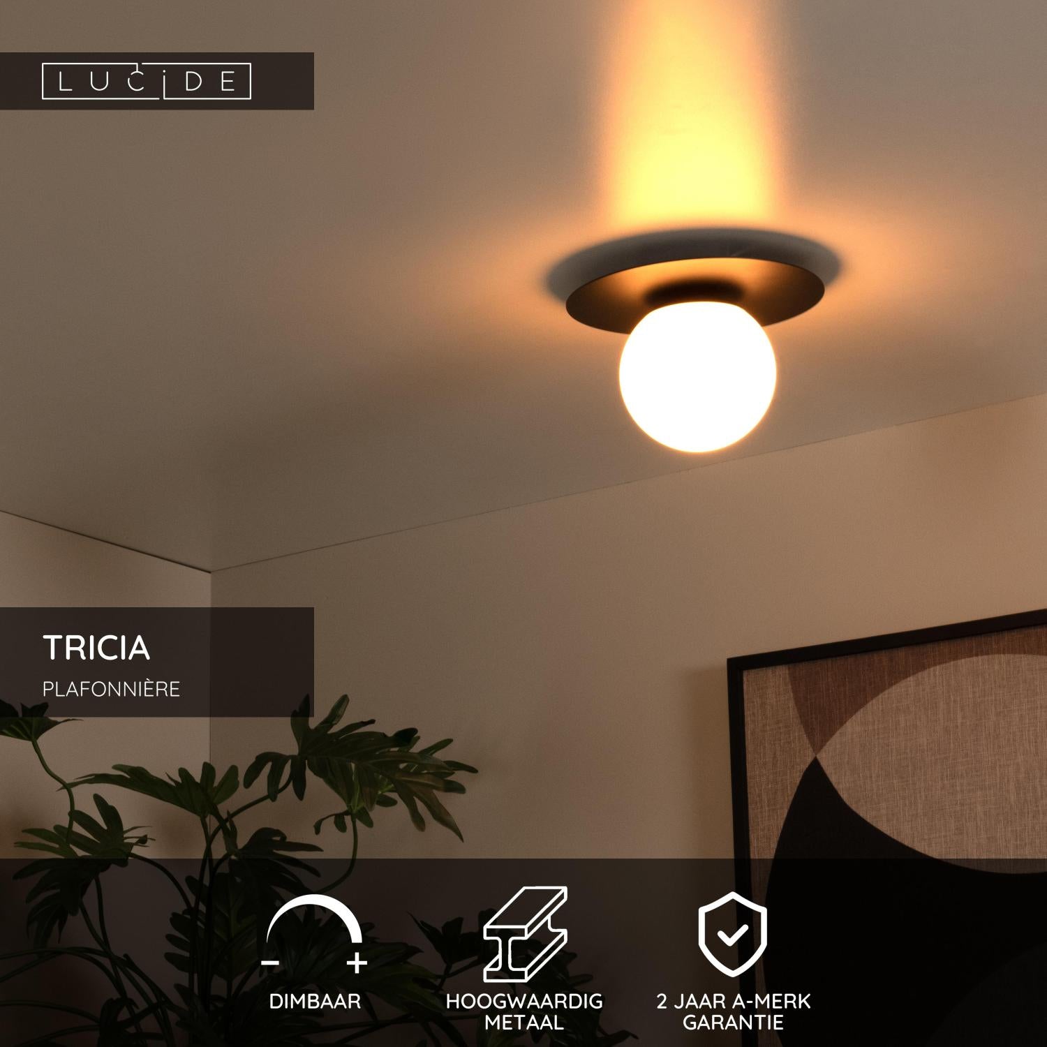 TRICIA - Plafonnier - Ø 25 cm - 1xE27 - Noir