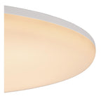 OLSON - Plafonnière Badkamer - Ø 29 cm - LED - CCT - 1x24W 3000K/6500K - IP44 - Opaal