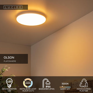 OLSON - Plafonnière Badkamer - Ø 29 cm - LED - CCT - 1x24W 3000K/6500K - IP44 - Opaal