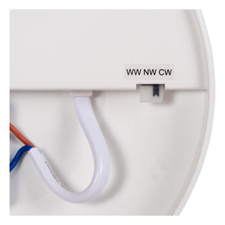 OLSON - Plafonnière Badkamer - Ø 35 cm - LED - CCT - 1x36W 3000K/6500K - IP44 - Opaal