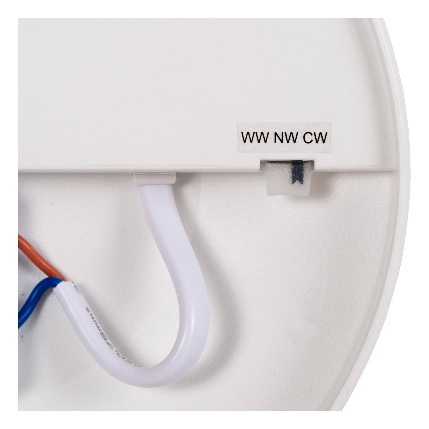 OLSON - Plafonnière Badkamer - Ø 35 cm - LED - CCT - 1x36W 3000K/6500K - IP44 - Opaal