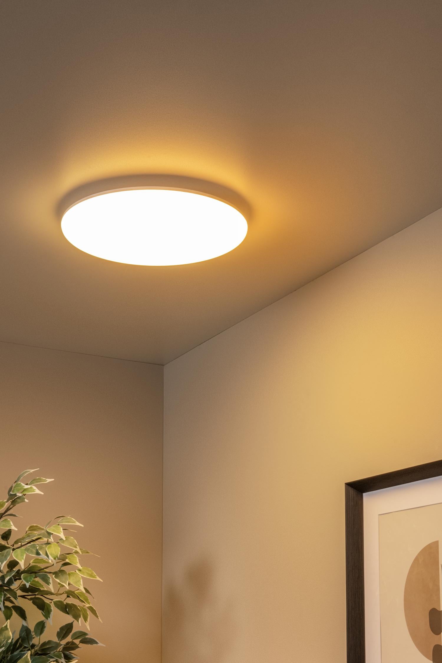 OLSON - Plafonnière Badkamer - Ø 35 cm - LED - CCT - 1x36W 3000K/6500K - IP44 - Opaal