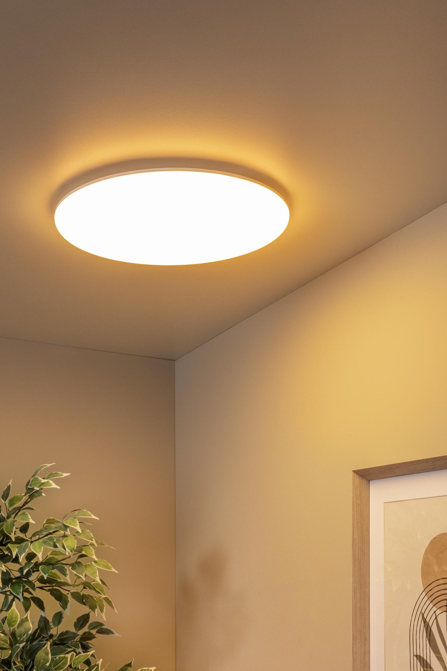 OLSON - Plafonnière Badkamer - Ø 45 cm - LED - CCT - 1x45W 3000K/6500K - IP44 - Opaal
