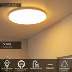 OLSON - Plafonnière Badkamer - Ø 45 cm - LED - CCT - 1x45W 3000K/6500K - IP44 - Opaal