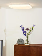 OTIS - Plafonnière - LED - 1x42W 3000K - Opaal