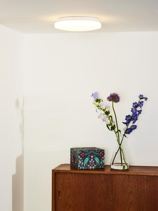 OTIS - Plafonnier - Ø 26 cm - LED - 1x14W 3000K - Opale
