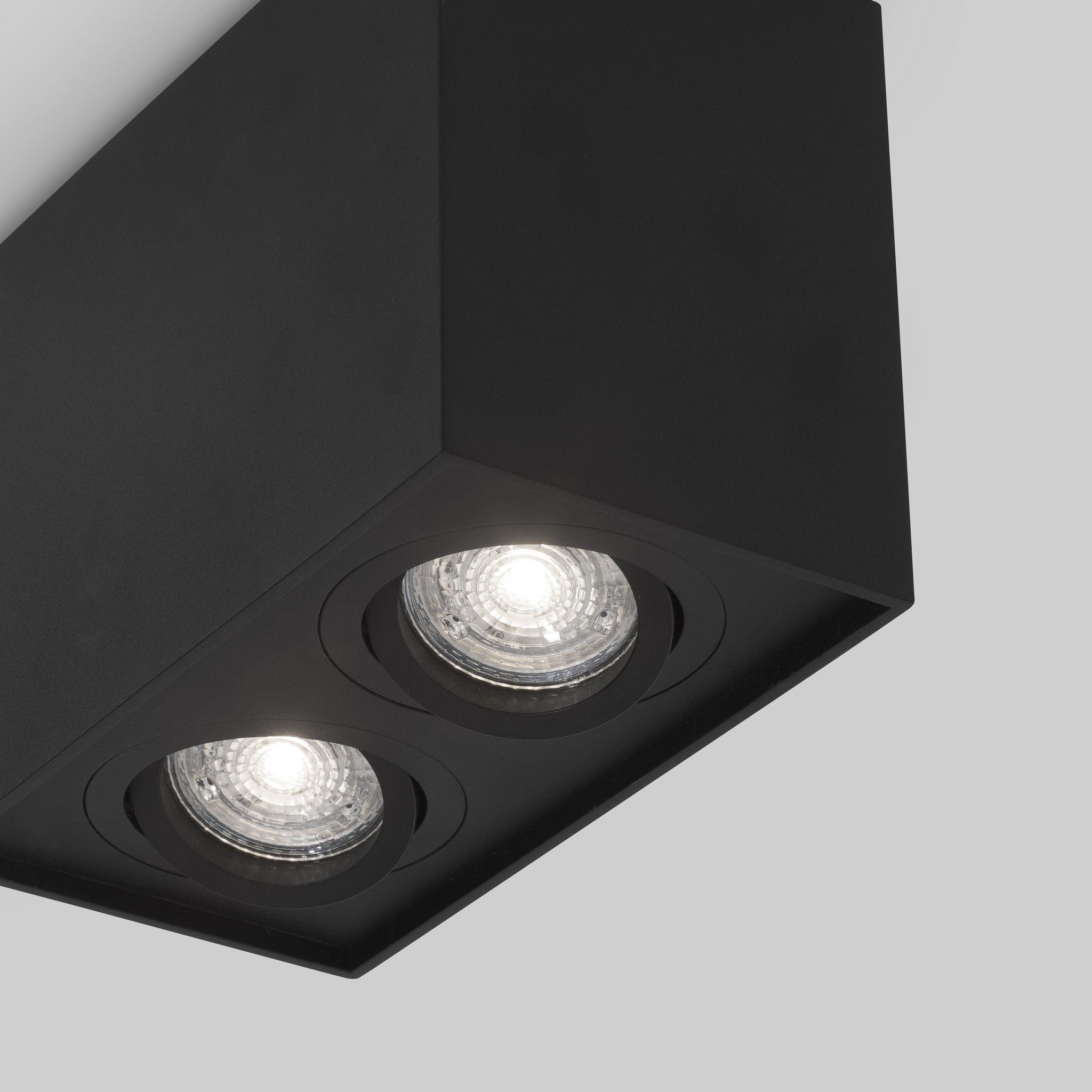 Ceiling lamp Rende 2L GU10, black