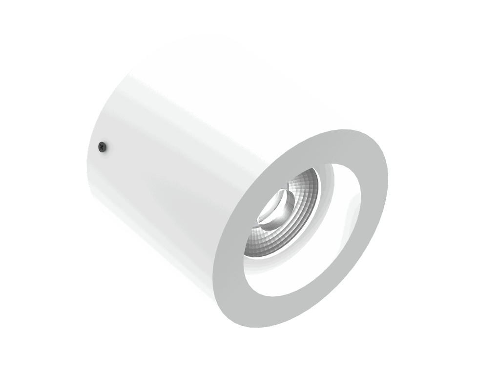 Cylinder 100 is een plafondarmatuur met 800Lm, 4000K, CRI 93, 10,1W. Bundelhoek 40°, Triac-dimbaar, afwerking Matt white RAL 9016, IP20.
