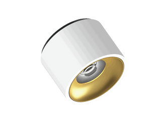 Fido 105 is een plafondarmatuur met 800Lm, 3000K, CRI 93, 10,3W. Bundelhoek 40°, Triac-dimbaar, afwerking White/Gold, IP20.