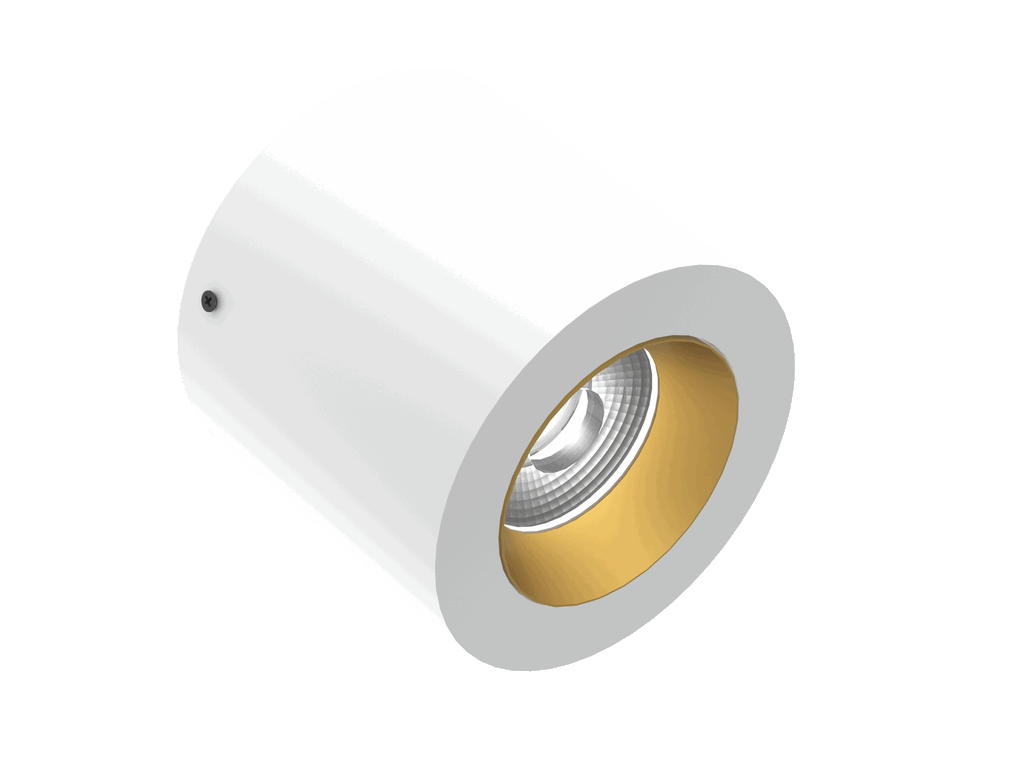 Vector 100 is een plafondarmatuur met 800Lm, 2700K, CRI 93, 10,5W. Bundelhoek 40°, Triac-dimbaar, afwerking White/Gold, IP20.
