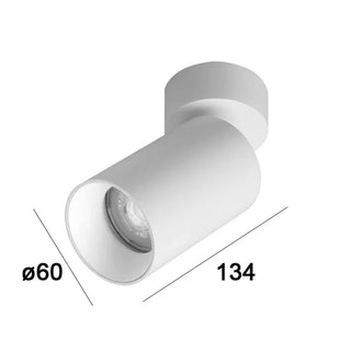 Connor Adjustable Plafondspot