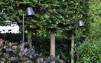 Grondspot buiten Parker path Spike