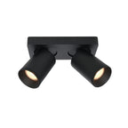 Surface-mounted spotlight Mega 2-light