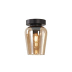 Ceiling lamp tombo 12.5